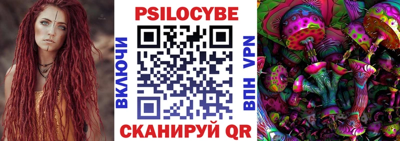 Купить  Красный Сулин  Псилоцибиновые грибы мицелий 
